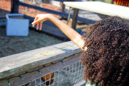 Curl Enhancing Conditioner 