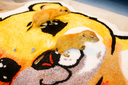 Limited edition tufted rug artisan home décor